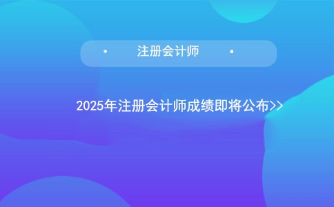 2025年注册会计师成绩即将公布！翰飞会计培训详解查分与复核流程.jpg